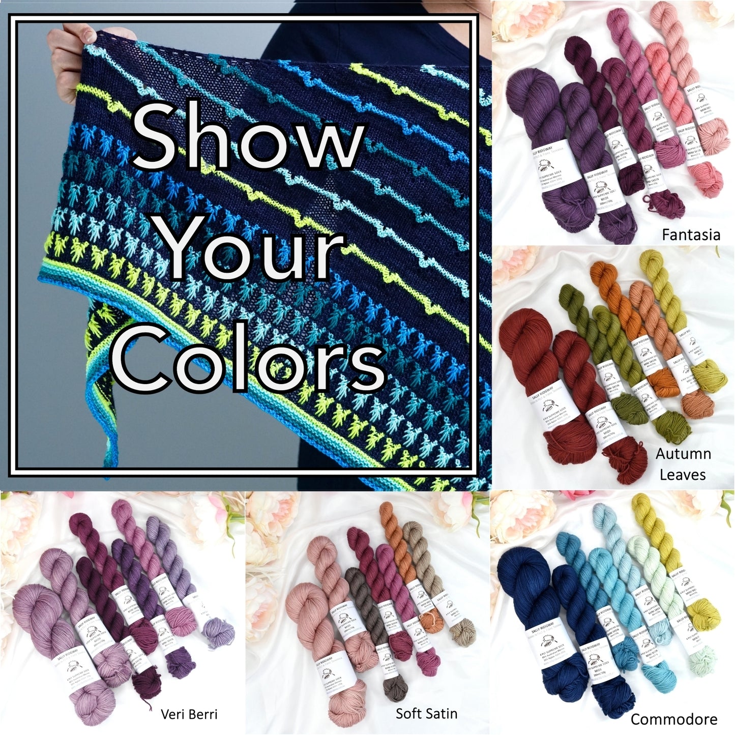 Show Your Colours Yarn Kit - Veri Berri| Sock Yarn | Sally Ridgway | Shop Wool, Felt and Fibre Online