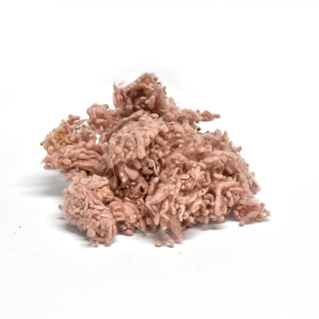 Shell DHG Merino Wool Nepps| Nepps | Sally Ridgway | Shop Wool, Felt and Fibre Online