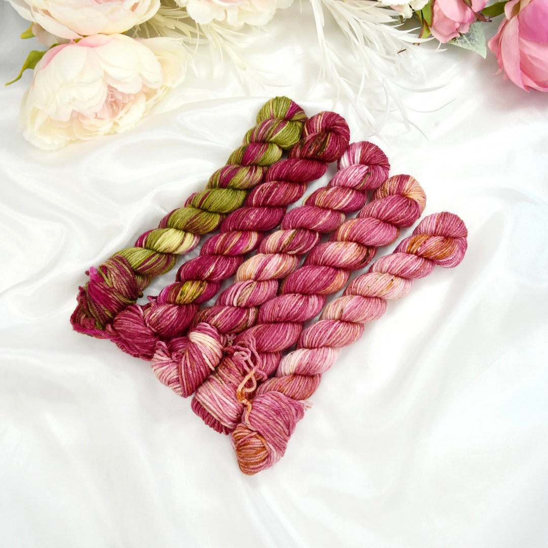 Mini Skein Set - Spring Garden| 4 Ply Mini Skein | Sally Ridgway | Shop Wool, Felt and Fibre Online