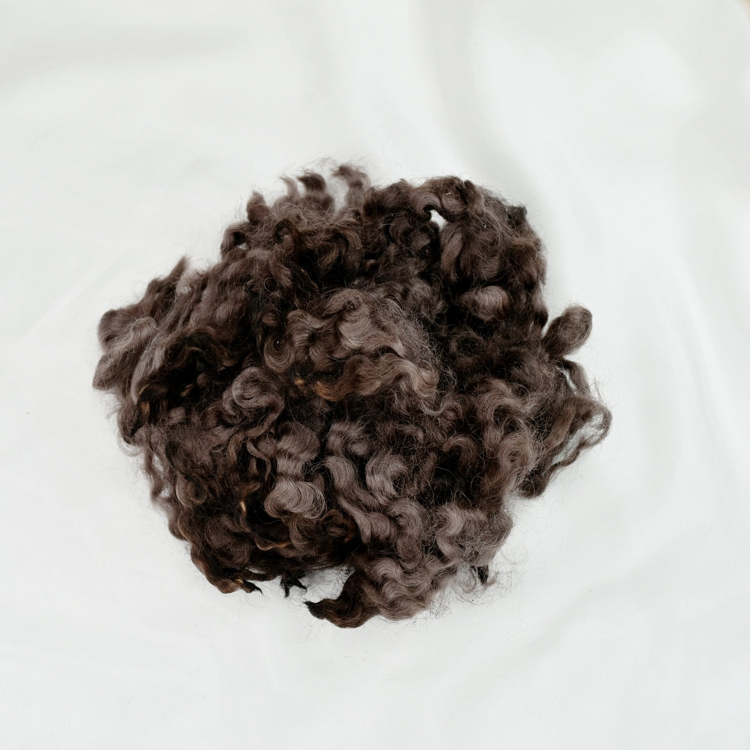 Tasmanian English Leicester Lamb Locks - Milk Chocolate| English Leicester Wool Tops | Sally Ridgway | Shop Wool, Felt and Fibre Online