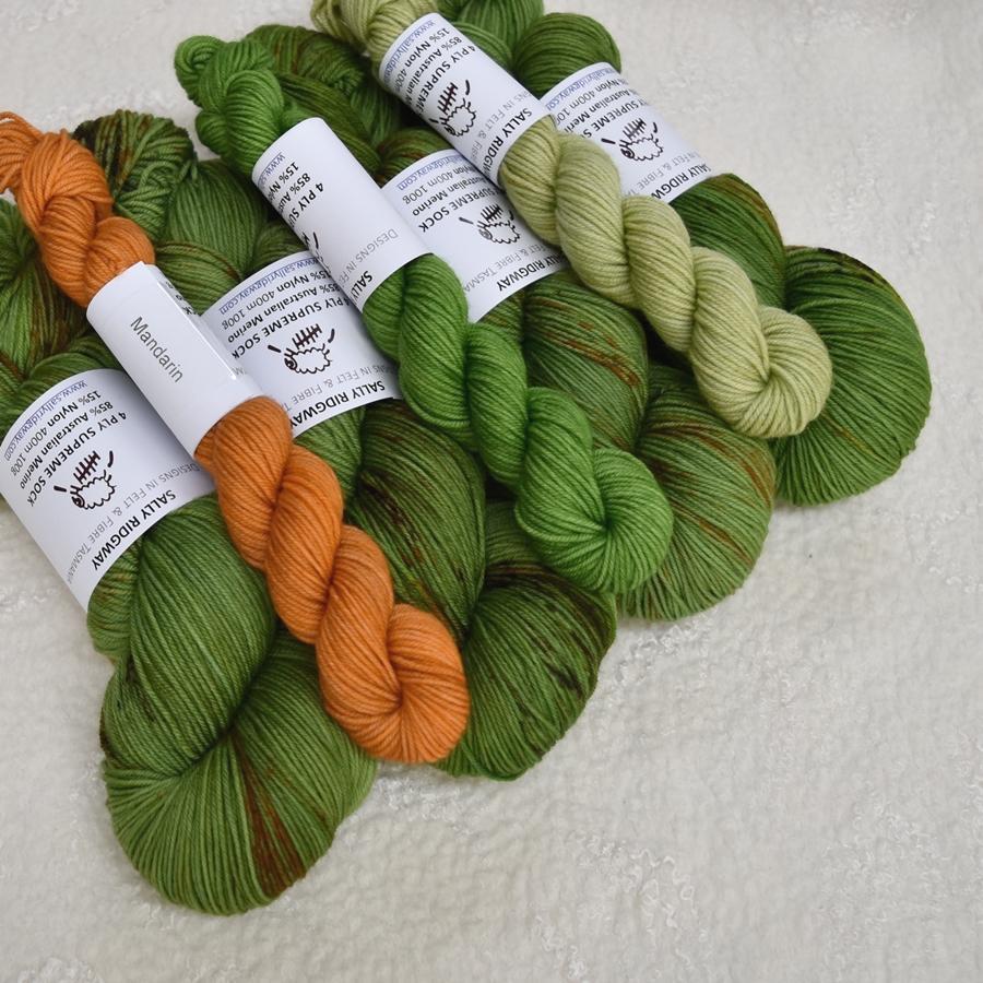 4 ply Supreme Sock Yarn Hand Dyed Murphey's Run 13388-Sock Yarn-2-Sally Ridgway Designs in Felt & Fibre