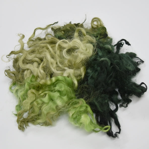 Tasmanian English Leicester Lamb Locks -Dark Forest 13137| English Leicester Wool Tops | Sally Ridgway | Shop Wool, Felt and Fibre Online