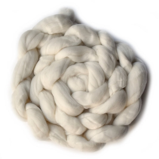 one braid of superwash australian merino wool roving for spinning rolled up on a white background