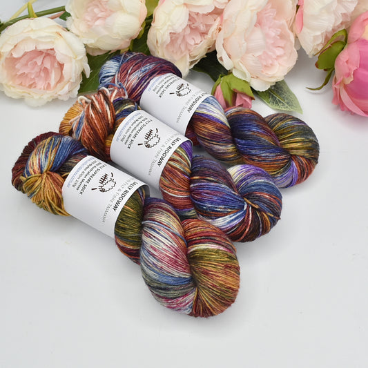 4 ply Supreme Sock Yarn Hand Dyed Stained Glass| Sock Yarn | Sally Ridgway | Shop Wool, Felt and Fibre Online