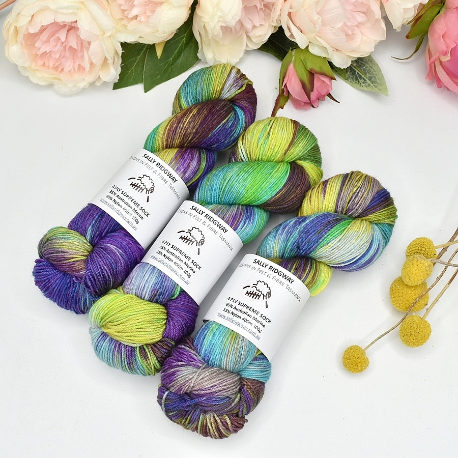 4 ply Supreme Sock Yarn Hand Dyed Twist and Shout| Sock Yarn | Sally Ridgway | Shop Wool, Felt and Fibre Online