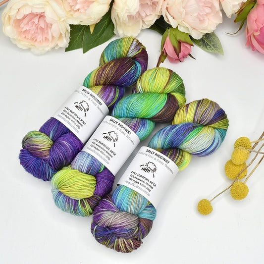 4 ply Supreme Sock Yarn Hand Dyed Twist and Shout| Sock Yarn | Sally Ridgway | Shop Wool, Felt and Fibre Online