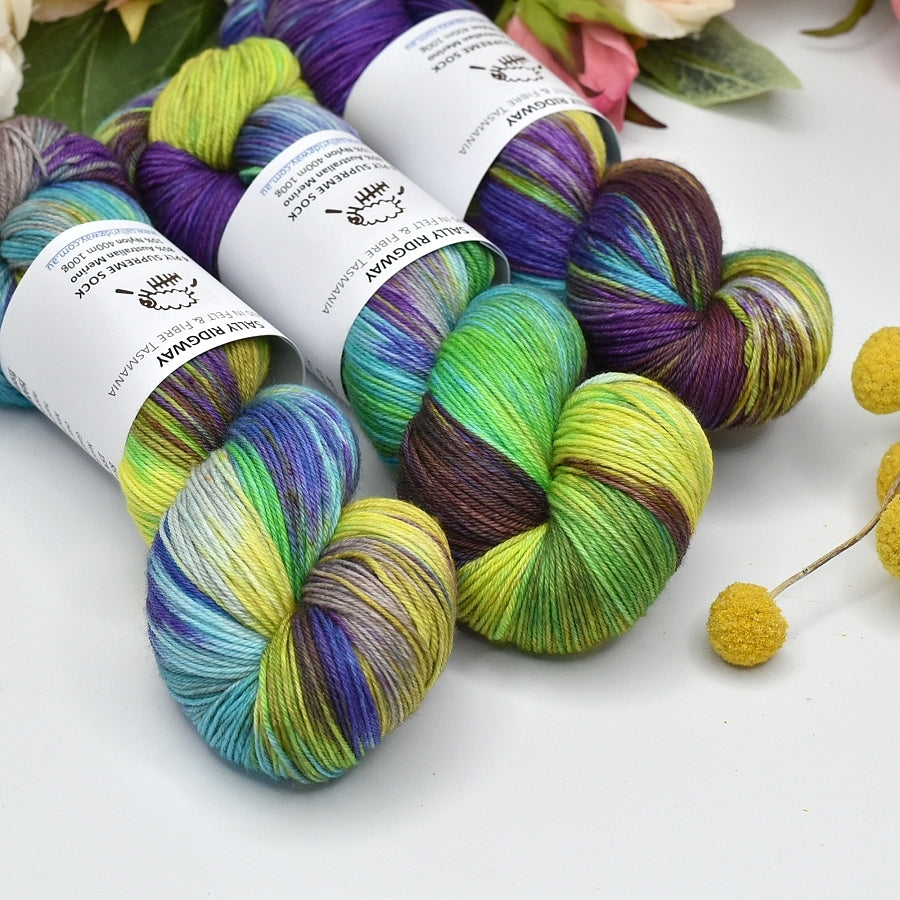 4 ply Supreme Sock Yarn Hand Dyed Twist and Shout| Sock Yarn | Sally Ridgway | Shop Wool, Felt and Fibre Online