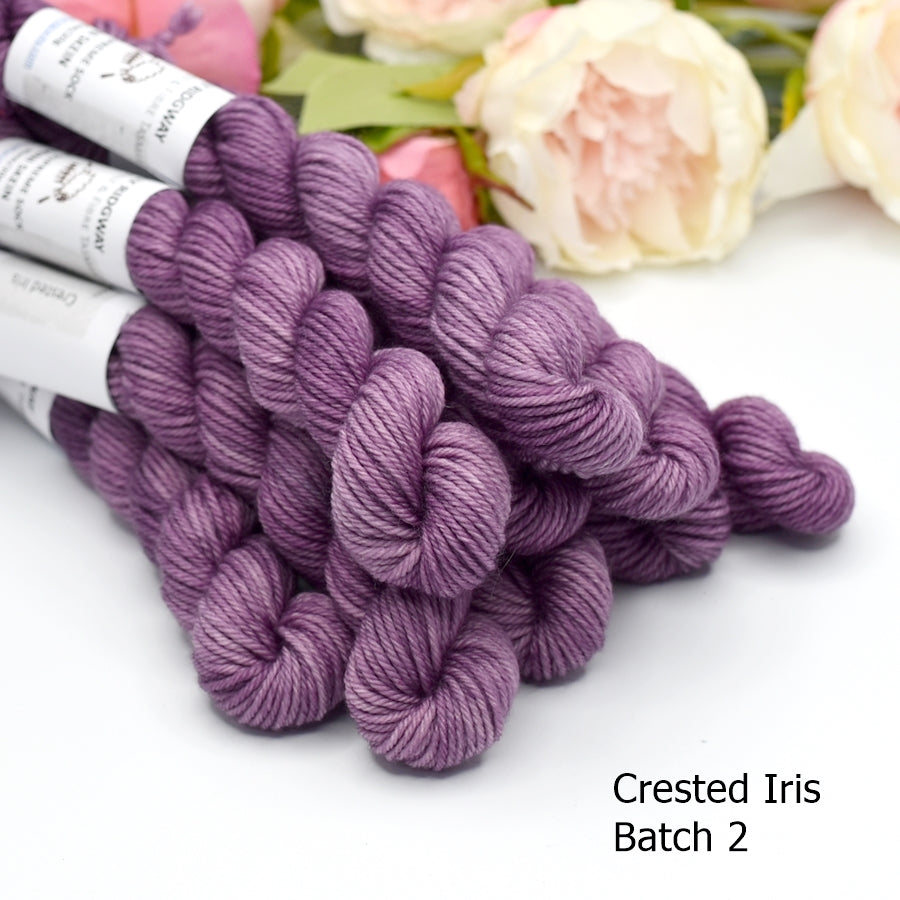 8 Ply Supreme Sock Mini Skein in Crested Iris| 8 Ply Mini Skeins | Sally Ridgway | Shop Wool, Felt and Fibre Online