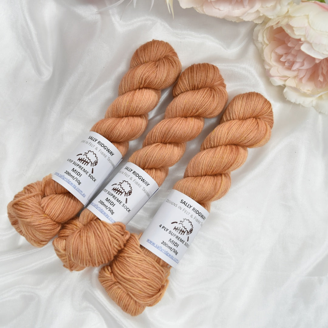 Biscotti 50g 4 Ply Supreme Sock Midi Half Skein| 4 Ply Midi Skeins | Sally Ridgway | Shop Wool, Felt and Fibre Online