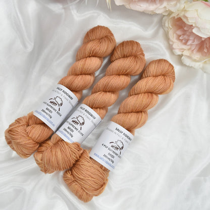 Biscotti 50g 4 Ply Supreme Sock Midi Half Skein| 4 Ply Midi Skeins | Sally Ridgway | Shop Wool, Felt and Fibre Online