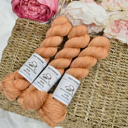 Biscotti 50g 4 Ply Supreme Sock Midi Half Skein| 4 Ply Midi Skeins | Sally Ridgway | Shop Wool, Felt and Fibre Online
