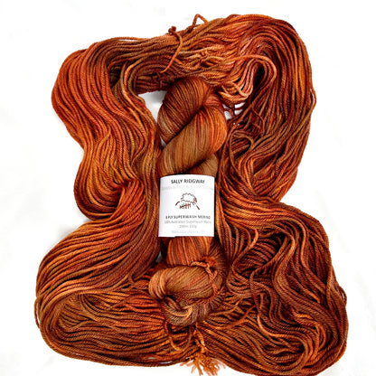 Copper Canyon on 8 Ply Superwash 100% Merino Yarn