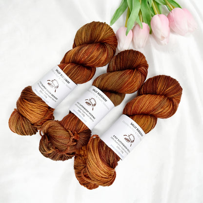 Copper Canyon on 8 Ply Superwash 100% Merino Yarn