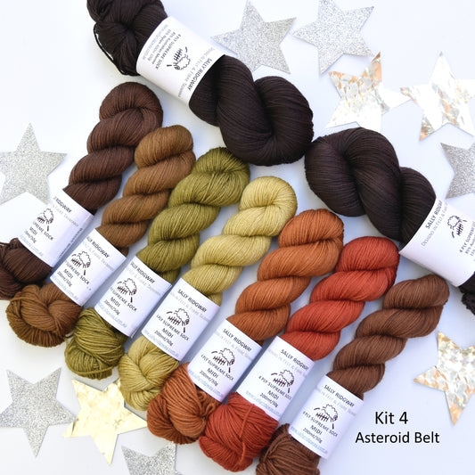 Cosmic Connections MKAL 2025 Yarn Kit 4 - Asteroid Belt| Sock Yarn | Sally Ridgway | Shop Wool, Felt and Fibre Online