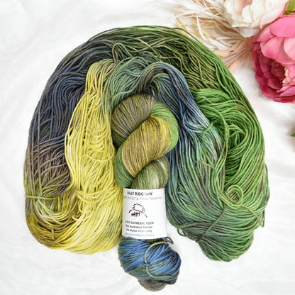 4 ply Supreme Sock Yarn Hand Dyed Thicket 13380| Sock Yarn | Sally Ridgway | Shop Wool, Felt and Fibre Online