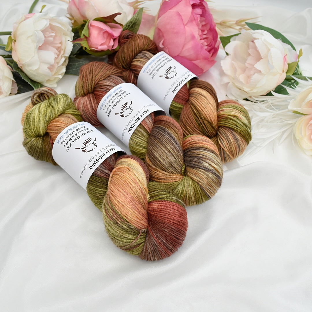 4 ply Supreme Sock Yarn Hand Dyed Fagus| Sock Yarn | Sally Ridgway | Shop Wool, Felt and Fibre Online