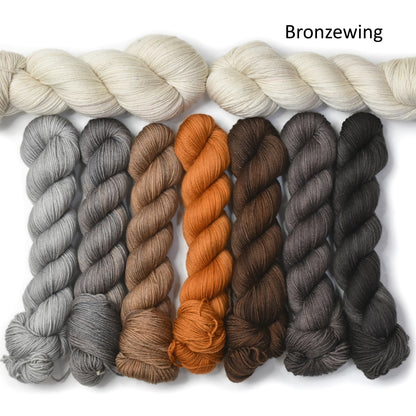 Wings of Wonder 2024 MKAL Yarn Kit Bronzewing| Sock Yarn | Sally Ridgway | Shop Wool, Felt and Fibre Online