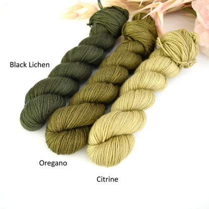 Black Lichen 50g Midi Half Skein| 4 Ply Midi Skeins | Sally Ridgway | Shop Wool, Felt and Fibre Online