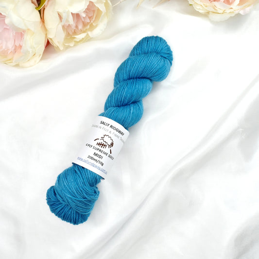 Aquarium 50g Midi Half Skein-4 Ply Midi Skeins-1-Sally Ridgway Designs in Felt &amp; Fibre