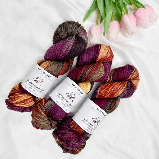 Moroccan Magic on 8 Ply Superwash 100% Merino Yarn| 8 Ply Superwash Merino Yarn | Sally Ridgway | Shop Wool, Felt and Fibre Online