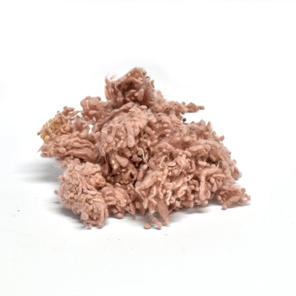 Shell DHG Merino Wool Nepps| Nepps | Sally Ridgway | Shop Wool, Felt and Fibre Online