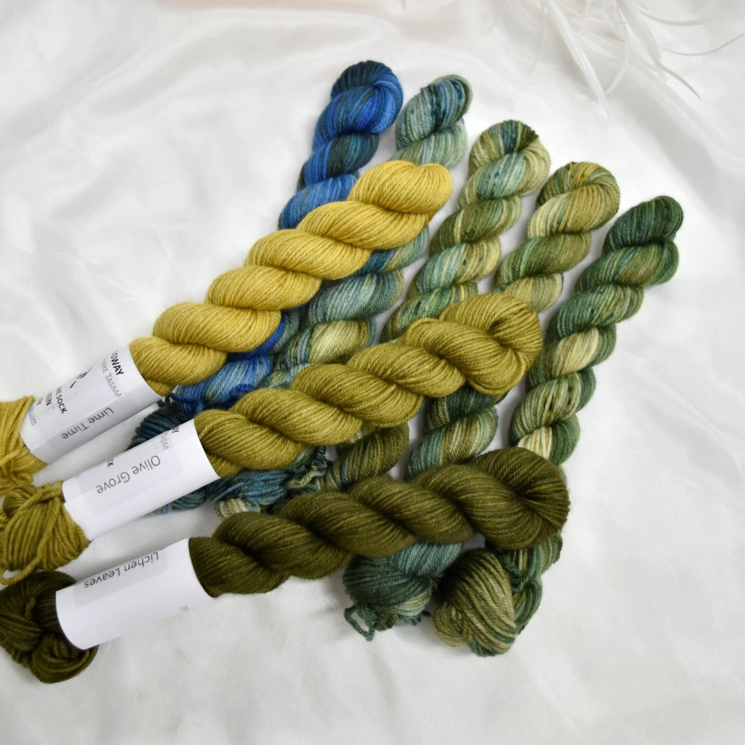 Mini Skein Set - Work Horse Green| 4 Ply Mini Skein | Sally Ridgway | Shop Wool, Felt and Fibre Online