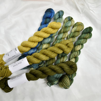 Mini Skein Set - Work Horse Green| 4 Ply Mini Skein | Sally Ridgway | Shop Wool, Felt and Fibre Online