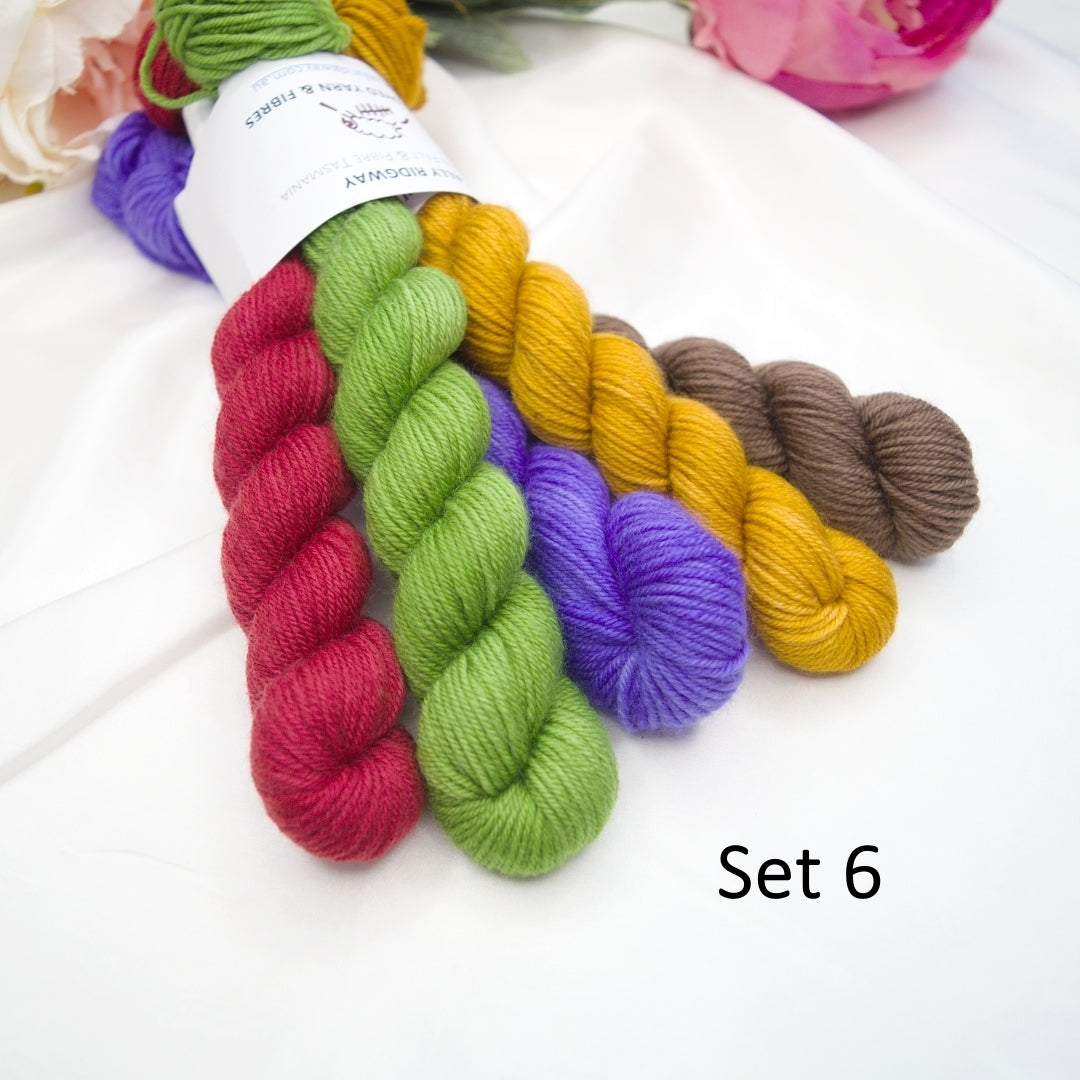 Mini Skein Sets| 4 Ply Mini Skein | Sally Ridgway | Shop Wool, Felt and Fibre Online