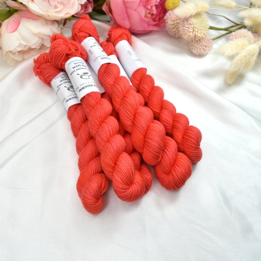 Mini Skeins 4 Ply Supreme Sock Yarn Chilli| 4 Ply Mini Skein | Sally Ridgway | Shop Wool, Felt and Fibre Online