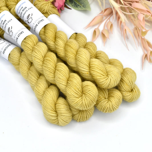 Mini Skeins 4 Ply Supreme Sock Yarn in Asparagus| Mini Skeins | Sally Ridgway | Shop Wool, Felt and Fibre Online