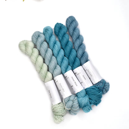 Mini Skeins 4 Ply Supreme Sock Yarn Sea Scape| 4 Ply Mini Skein | Sally Ridgway | Shop Wool, Felt and Fibre Online