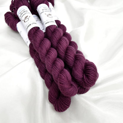 Mini Skeins 4 Ply Supreme Sock Yarn Ruby| 4 Ply Mini Skein | Sally Ridgway | Shop Wool, Felt and Fibre Online