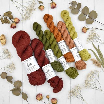 Show Your Colours Yarn Kit - Autumn Leaves| Sock Yarn | Sally Ridgway | Shop Wool, Felt and Fibre Online