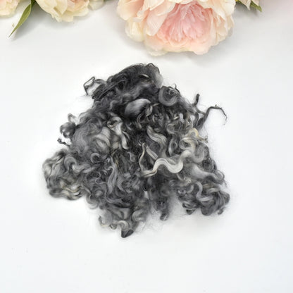 Tasmanian English Leicester Lamb Locks Hand Dyed Charcoal| English Leicester Wool Tops | Sally Ridgway | Shop Wool, Felt and Fibre Online