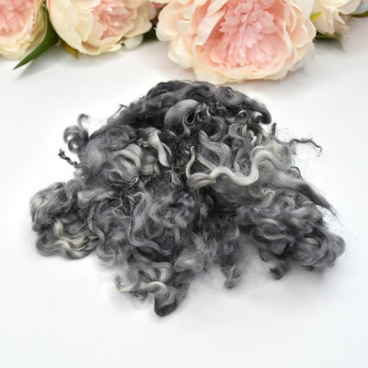 Tasmanian English Leicester Lamb Locks Hand Dyed Charcoal| English Leicester Wool Tops | Sally Ridgway | Shop Wool, Felt and Fibre Online