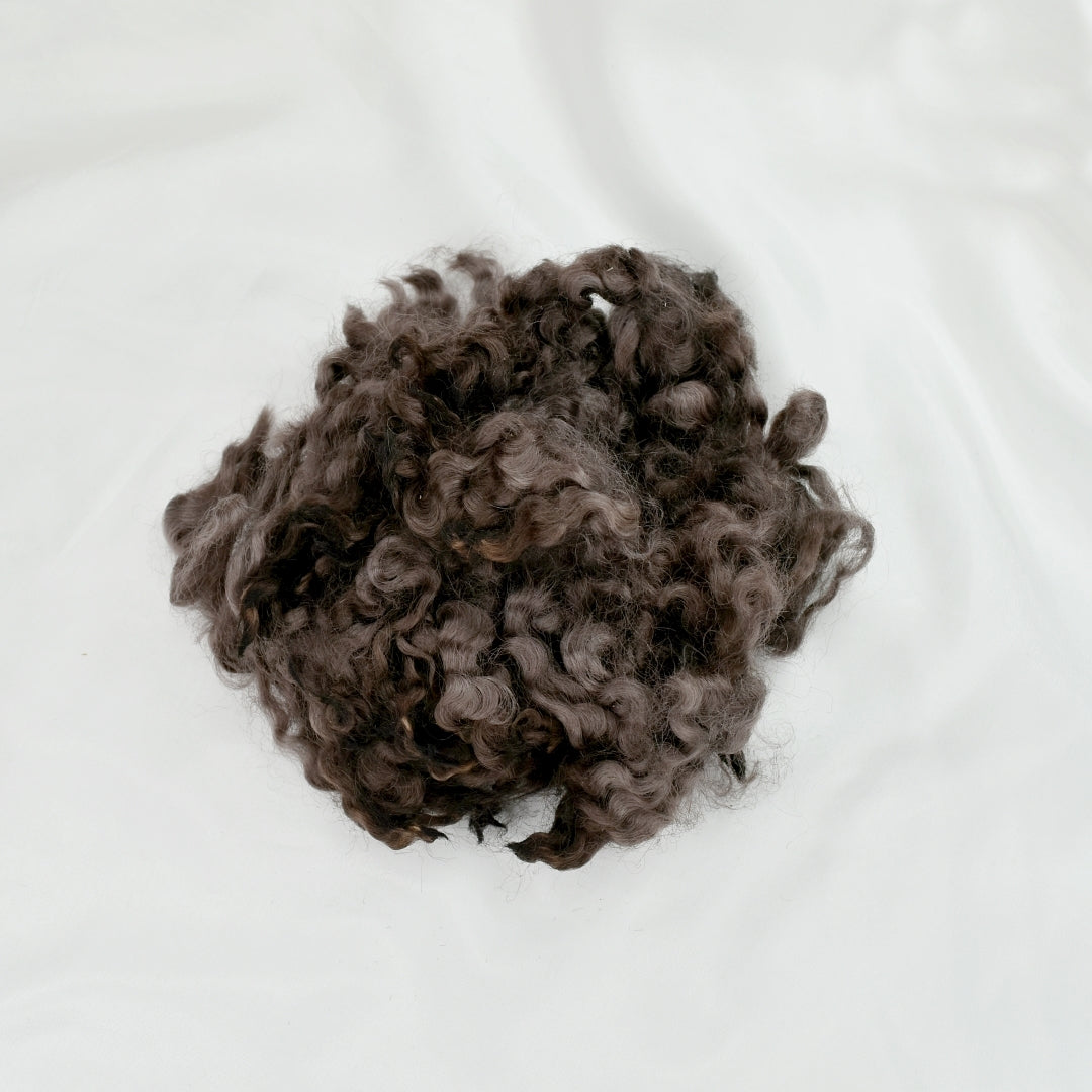 Tasmanian English Leicester Lamb Locks - Milk Chocolate| English Leicester Wool Tops | Sally Ridgway | Shop Wool, Felt and Fibre Online