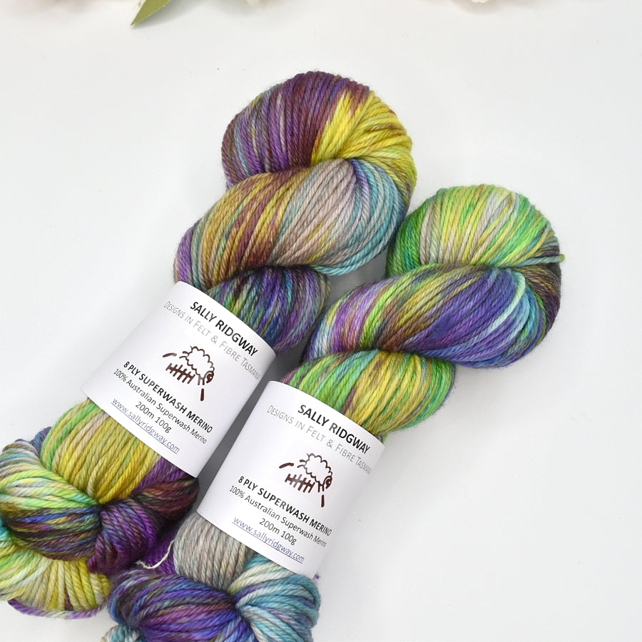 Twist and Shout on 8 Ply Superwash 100% Merino Yarn| 8 Ply Superwash Merino Yarn | Sally Ridgway | Shop Wool, Felt and Fibre Online