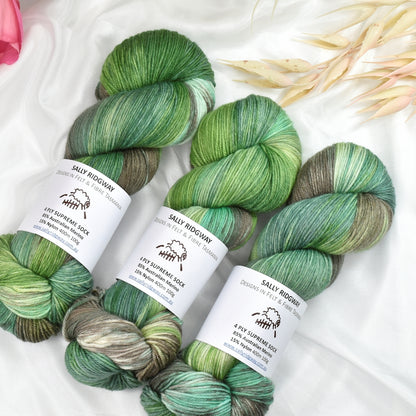 Veggie Patch 4 ply Supreme Sock Yarn Hand Dyed| Sock Yarn | Sally Ridgway | Shop Wool, Felt and Fibre Online