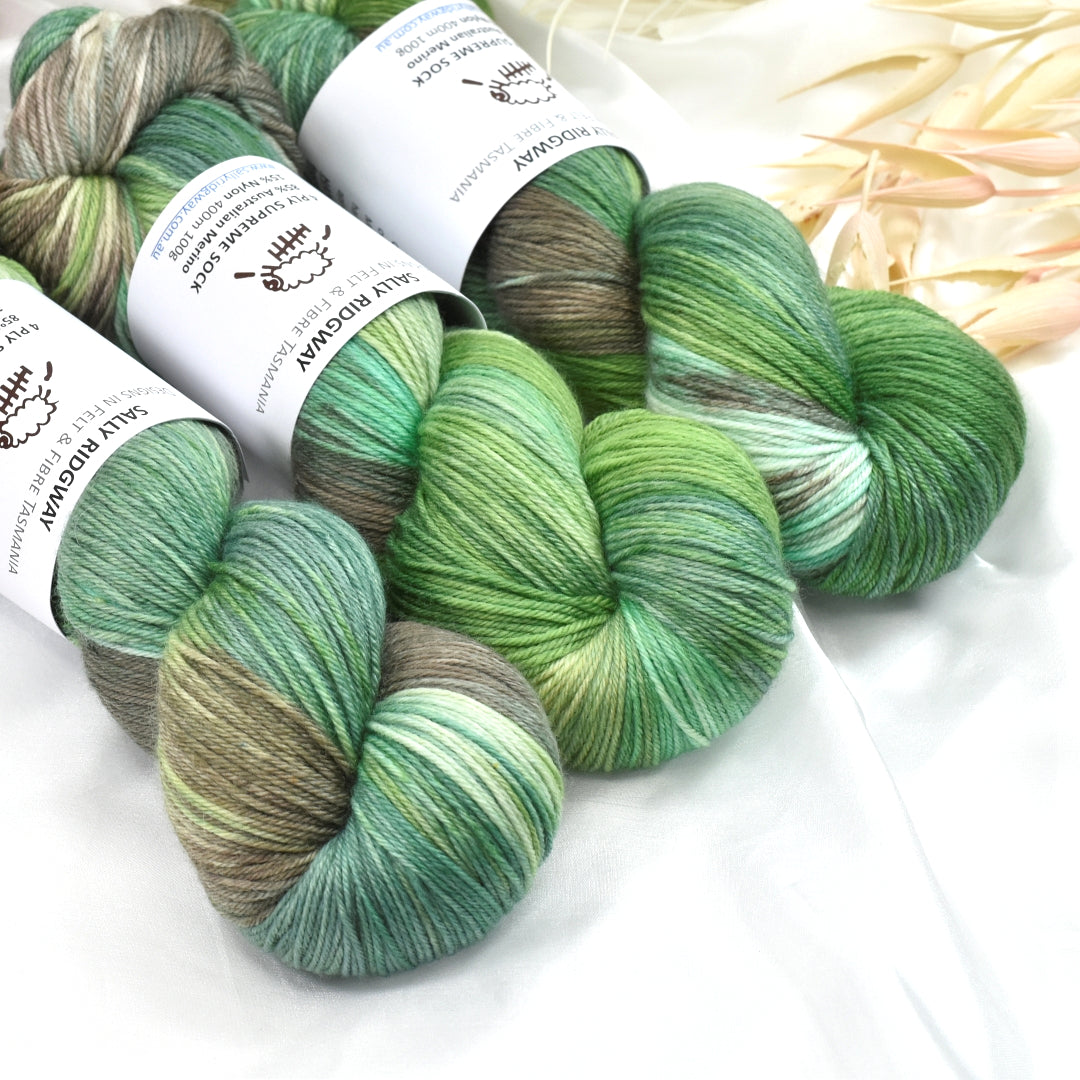 Veggie Patch 4 ply Supreme Sock Yarn Hand Dyed| Sock Yarn | Sally Ridgway | Shop Wool, Felt and Fibre Online