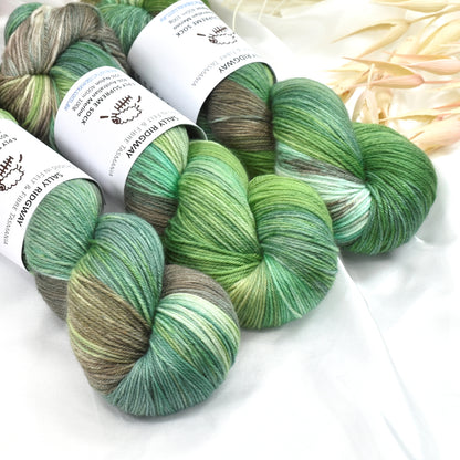 Veggie Patch 4 ply Supreme Sock Yarn Hand Dyed| Sock Yarn | Sally Ridgway | Shop Wool, Felt and Fibre Online