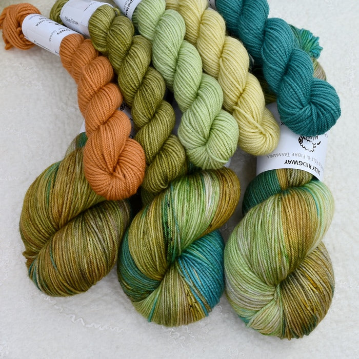 4 ply Supreme Sock Yarn Hand Dyed Botany| Sock Yarn | Sally Ridgway | Shop Wool, Felt and Fibre Online