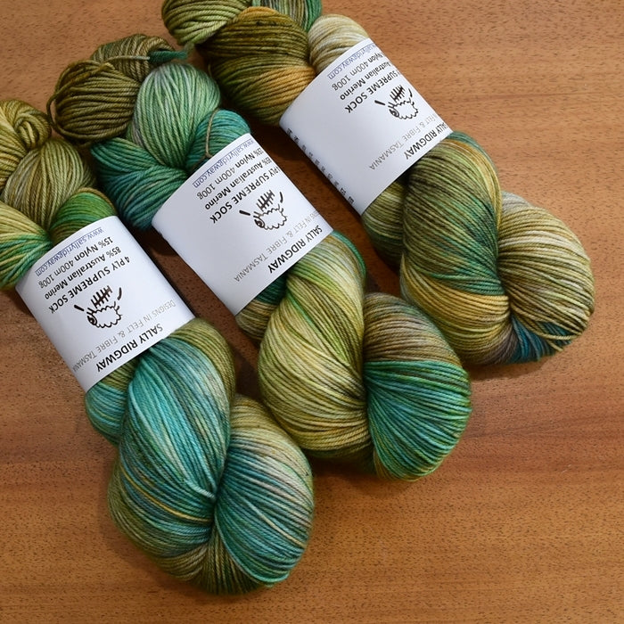 4 ply Supreme Sock Yarn Hand Dyed Botany| Sock Yarn | Sally Ridgway | Shop Wool, Felt and Fibre Online