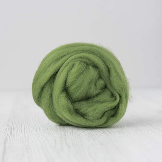 DHG Merino Wool Roving in Leaf Green| DHG Wool Tops | Sally Ridgway | Shop Wool, Felt and Fibre Online