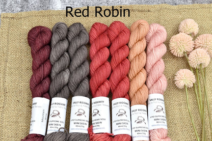 Brighten Up MKAL - Yarn Kit| Sock Yarn | Sally Ridgway | Shop Wool, Felt and Fibre Online