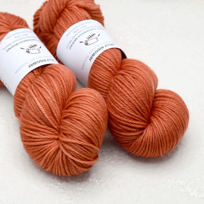 Apricot Lace on 8 Ply Superwash 100% Merino Yarn| 8 Ply Superwash Merino Yarn | Sally Ridgway | Shop Wool, Felt and Fibre Online