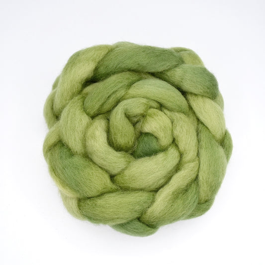 Australian Border Leicester Wool Top Hand Dyed Fig Leaf| Border Leicester | Sally Ridgway | Shop Wool, Felt and Fibre Online