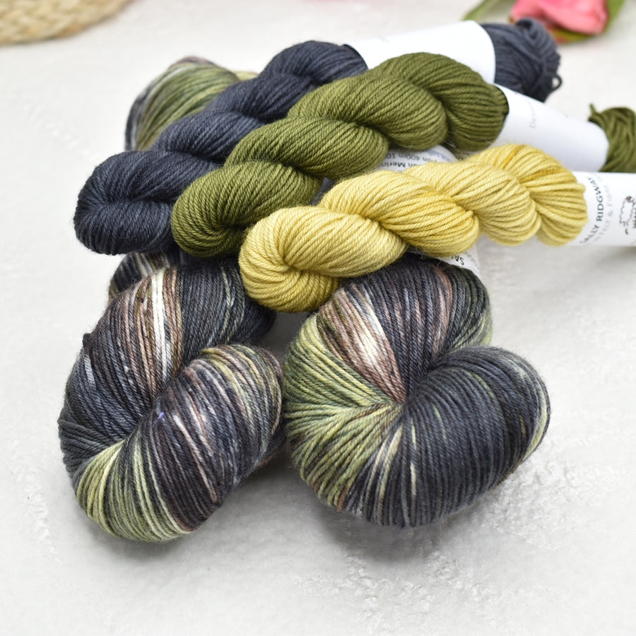4 Ply Supreme Sock Yarn Hand Dyed Forest 12951| Sock Yarn | Sally Ridgway | Shop Wool, Felt and Fibre Online